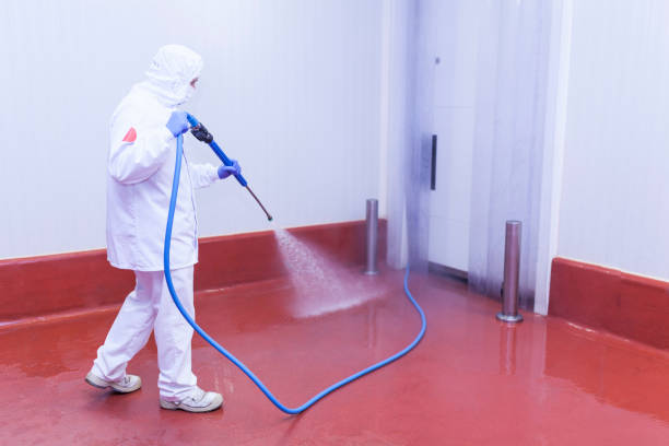 Best Solar Panel Cleaning  in Sandwich, IL