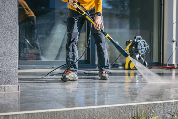 Best Roof Washing  in Sandwich, IL